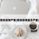 西安疫情严重(西安疫情是否严重)